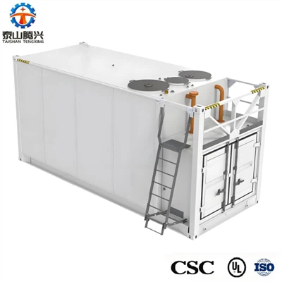 Self Bunded Gasoline Tank